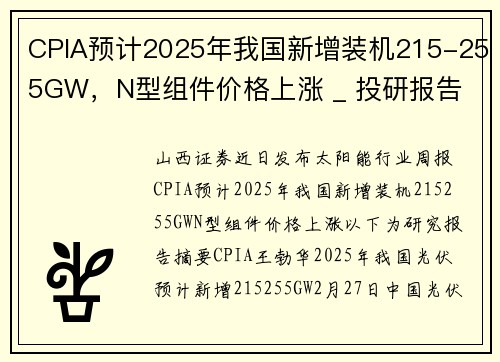 CPIA预计2025年我国新增装机215-255GW，N型组件价格上涨 _ 投研报告